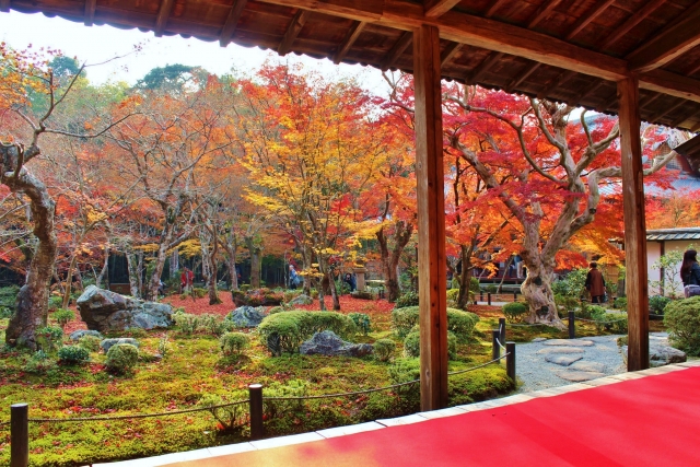 圓光寺の概要